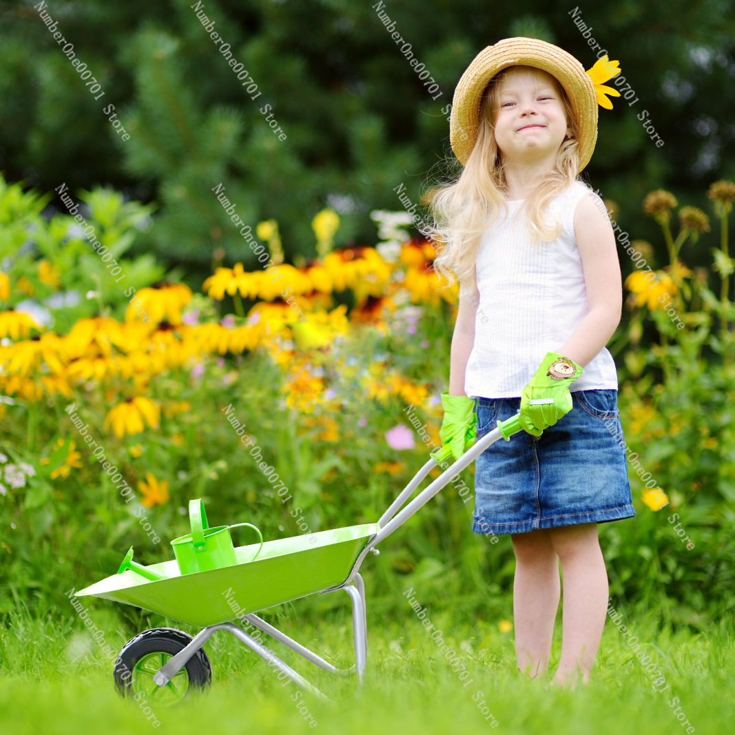 Kids Outdoor Wheelbarrow, Gree - đánh giá và giá Kids Outdoor Playset